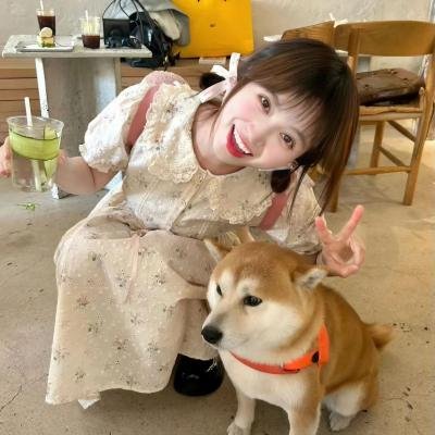 新木偶奇遇记